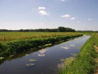 NL, Noord-Brabant, Helmond, Vleutloop 1, Saxifraga-Foto Fitis-Sytske Dijksen