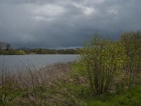 NL, Noord-Brabant, Heusden, Haarsteegse Wiel 5, Saxifraga-Jan van der Straaten