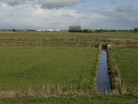 NL, Noord-Brabant, Heusden, Hedikhuizensche Maas 1, Saxifraga-Jan van der Straaten