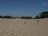 NL, Noord-Brabant, Heusden, Loonse en Drunense Duinen 72, Saxifraga-Jan van der Straaten