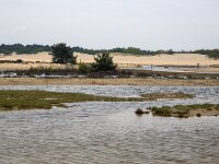 Drifting sand with exceptional pools due to heavy rain, Loonse en Drunense Duinen National Park, North Brabant, Netherlands  Drifting sand with exceptional pools due to heavy rain, Loonse en Drunense Duinen National Park, North Brabant, Netherlands : sand drift, drifting sand, sand, sandy, loonse en drunense duinen, national park, np, rural, landscape, rural landscape, rural scene, non-urban landscape, non-urban scene, outside, outdoor, outdoors, no people, nobody, season, summer, summertime, spring, springtime, tree, trees, woodland, forest, nature, natural, nature protection, north brabant, dutch, netherlands, europe, european, pool, pools, water, heavy rain