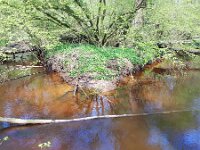 NL, Noord-Brabant, Hilvarenbeek, Reusel in De Hertgang 14, Saxifraga-Tom Heijnen