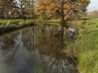 NL, Noord-Brabant, Meierijstad, Nijnsel, Dommel 3, Saxifraga-Jan van der Straaten