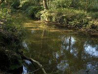 NL, Noord-Brabant, Oirschot, Baest, Beerze 8, Saxifraga-Jan van der Straaten