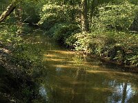 NL, Noord-Brabant, Oirschot, Baest, Beerze 9, Saxifraga-Jan van der Straaten