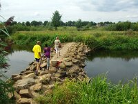 NL, Noord-Brabant, Oirschot, Beerze bij Spoordonk 2, Saxifraga-Foto Fitis-Sytske Dijksen
