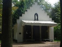 NL, Noord-Brabant, Oirschot, Heilige Eik 1, Saxifraga-Foto Fitis-Sytske Dijksen