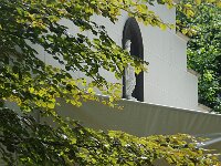 NL, Noord-Brabant, Oirschot, Heilige Eik 2, Saxifraga-Foto Fitis-Sytske Dijksen