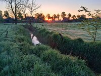 NL, Noord-Brabant, Oirschot, Kleine Beerze bij Oostelbeers 1, Saxifraga-Tom Heijnen