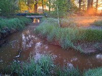 NL, Noord-Brabant, Oirschot, Kleine Beerze bij Oostelbeers 2, Saxifraga-Tom Heijnen