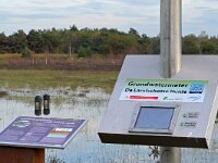 NL, Noord-Brabant, Oirschot, Landschotse Heide 20, Saxifraga-Tom Heijnen