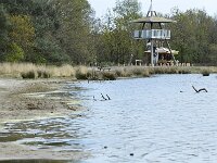 NL, Noord-Brabant, Oirschot, Withollandven in Landschotse Heide 3, Saxifraga-Tom Heijnen