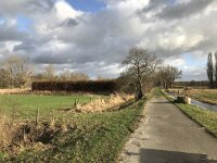 NL, Noord-Brabant, Oisterwijk, Hoevensesteeg 1, Saxifraga-Jan van der Straaten