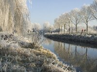 NL, Noord-Brabant, Oisterwijk, Voorste Stroom 5, Saxifraga-Jan van der Straaten