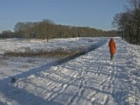 NL, Noord-Brabant, Oisterwijk, Winkelsven 8, Saxifraga-Jan van der Straaten