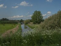 NL, Noord-Brabant, Oss, De Vliet 1, Saxifraga-Jan van der Straaten