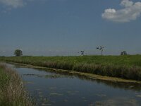 NL, Noord-Brabant, Oss, Groenendijk 2, Saxifraga-Jan van der Straaten