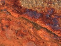 NL, Noord-Brabant, Oss, Keent 15, Saxifraga-Hans Boll