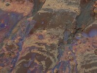 NL, Noord-Brabant, Oss, Keent 22, Saxifraga-Hans Boll