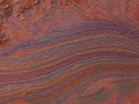 NL, Noord-Brabant, Oss, Keent 41, Saxifraga-Hans Boll