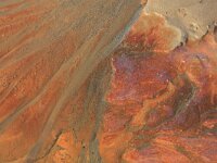 NL, Noord-Brabant, Oss, Keent 45, Saxifraga-Hans Boll