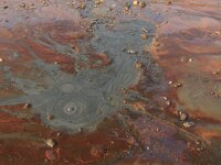 NL, Noord-Brabant, Oss, Keent 50, Saxifraga-Hans Boll