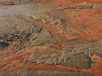 NL, Noord-Brabant, Oss, Keent 72, Saxifraga-Hans Boll