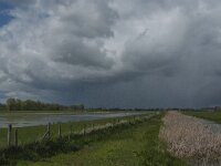 NL, Noord-Brabant, Oss, Marense eendenkooi 9, Saxifraga-Jan van der Straaten