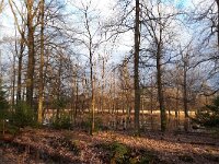 NL, Noord-Brabant, Reusel-De Mierden, Landgoed Wellenseind 4, Saxifraga-Tom Heijnen