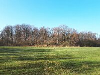 NL, Noord-Brabant, Son en Breugel, Breugelse Beemden 2, Saxifraga-Tom Heijnen