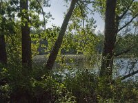 NL, Noord-Brabant, Tilburg, Leemkuilen 7, Saxifraga-Jan van der Straaten