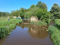 NL, Noord-Brabant, Valkenswaard, De Elshouters 16, vanaf Loondermolenbrug, Saxifraga-Tom Heijnen