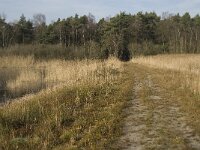 NL, Noord-Brabant, Valkenswaard, Grevenschutsven 10, Saxifraga-Marijke Verhagen