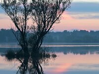 NL, Noord-Brabant, Valkenswaard, Greveschutven in Landgoed Valkenhorst 10, Saxifraga-Tom Heijnen