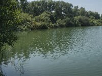 NL, Noord-Brabant, Waalwijk, Put van Waspik 1, Saxifraga-Marijke Verhagen