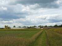 NL, Noord-Brabant, Zundert, De Reten 4, Saxifraga-Jan van der Straaten