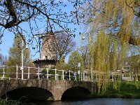 NL, Noord-Holland, Alkmaar, Molen van Piet 1, Saxifraga-Foto Fitis-Sytske Dijksen