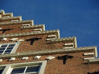 NL, Noord-Holland, Amsterdam 12, Saxifraga-Foto Fitis-Sytske Dijksen