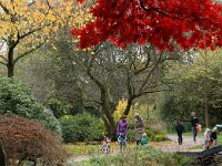 NL, Noord-Holland, Amsterdam, Park Frankendael 4, Saxifraga-Foto Fitis-Sytske Dijksen