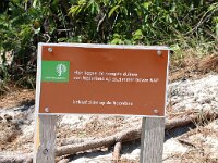 NL, Noord-Holland, Bergen, Schoorlse Duinen 15, Saxifraga-Foto Fitis-Sytske Dijksen