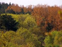 NL, Noord-Holland, Castricum 5, Foto Fitis-Sytske Dijksen