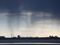 NL, Noord-Holland, Den Helder 4, rain, Saxifraga-Sytske Dijksen