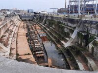 NL, Noord-Holland, Den Helder, Willemsoord 1, Saxifraga-Foto Fitis-Sytske Dijksen