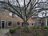 NL, Noord-Holland, Haarlem, Frans Loenenhofje 1, Saxifraga-Tom Heijnen