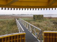 NL, Noord-Holland, Hollands Kroon, Wieringen wad 3, Saxifraga-Foto Fitis-Sytske Dijksen