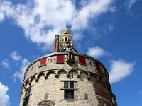 NL, Noord-Holland, Hoorn 2, Saxifraga-Foto Fitis-Sytske Dijksen