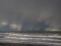 NL, Noord-Holland, Snow showers, Texel 117, Saxifraga-Foto Fitis-Sytske Dijksen