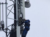 NL, Noord-Holland, Texel 106, Saxifraga-Foto Fitis-Sytske Dijksen