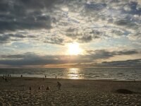 NL, Noord-Holland, Texel 29, Saxifraga-Bart Vastenhouw