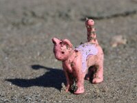 NL, Noord-Holland, Texel 74, Saxifraga-Foto Fitis-Sytske Dijksen